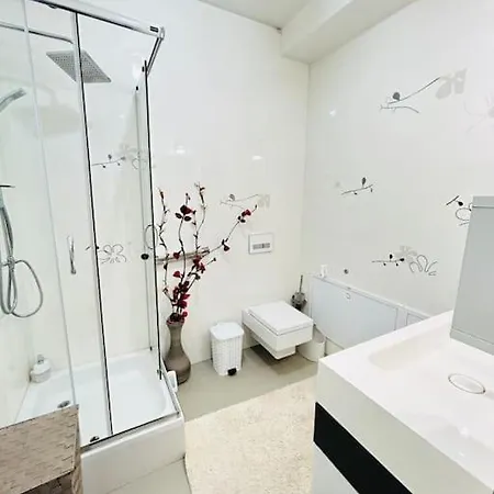 Pure Luxury Apartment Timisoara